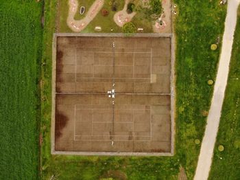 High angle view of plants growing on field