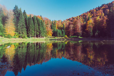 Scenic view of lake by trees against clear sky