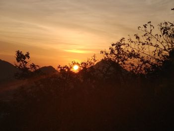 Silhouette trees against sky during sunset