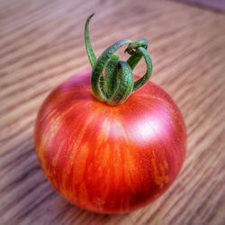 High angle view of tomatoes on table