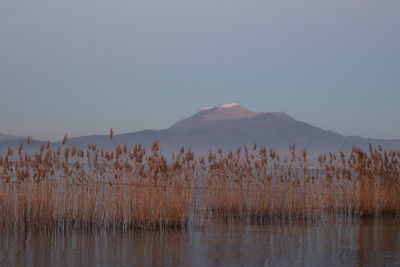 Scenic view of lake against clear sky