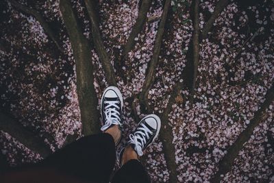 Low section of person standing by trees