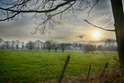 Scenic view of field against sky