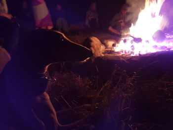 Group of people at music concert