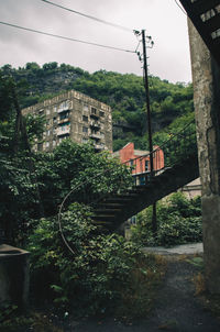 Trees and buildings against sky