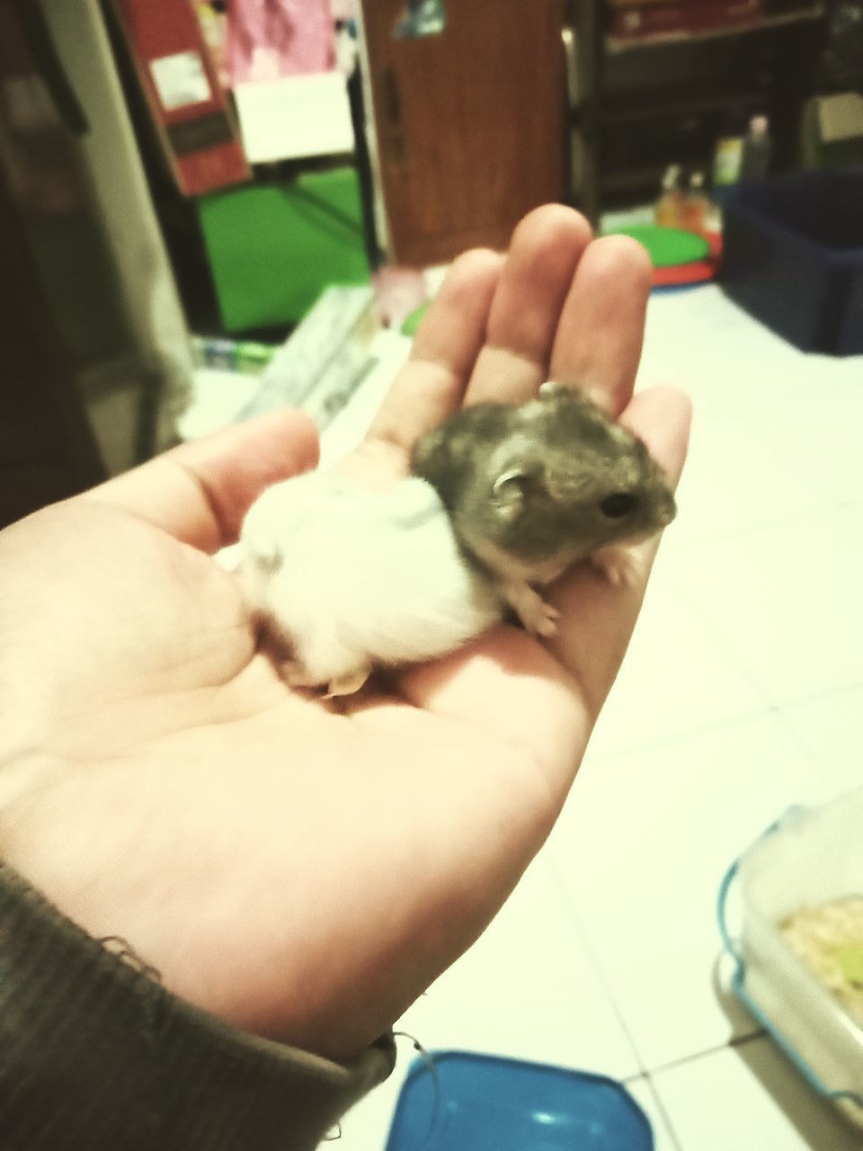 YOUNG MAN HOLDING FOOD