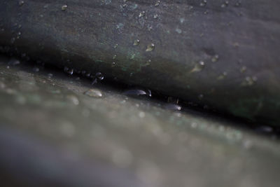 Close-up of water drops on surface