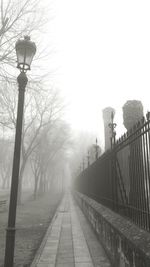 Street light in winter