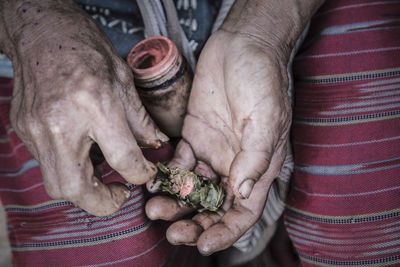 Cropped woman holding betel leaves