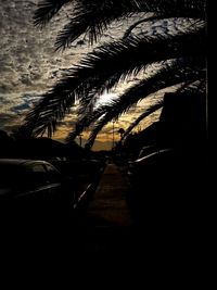 Close-up of silhouette palm trees at beach against sky