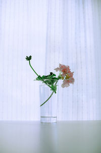 Close-up of white flower vase on table