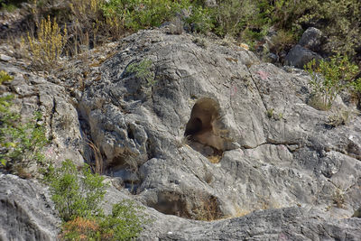 Low angle view of rock formation on land