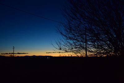 Silhouette of bare trees against sunset sky