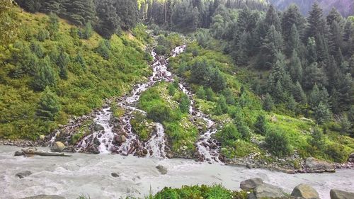 Scenic view of waterfall in forest