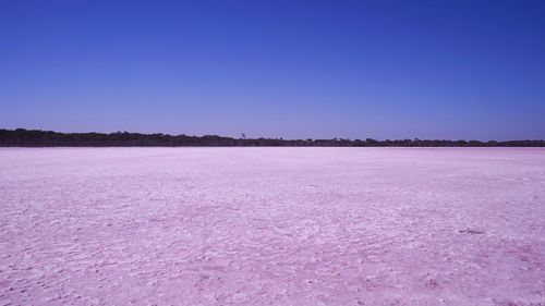 Scenic view of lake against clear blue sky