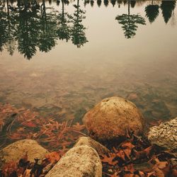 water