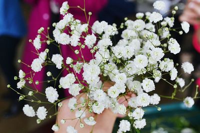 Close-up of flowers