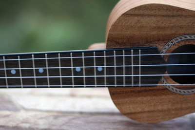 Hawaiian ukulele posing outdoors with unfocused background