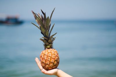 Cropped hand of woman holding pineapple at beach