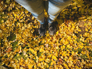 Low section of person standing on yellow autumn leaves