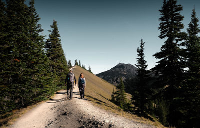 Rear view of people walking on road by trees