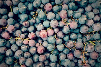 Full frame shot of fresh blueberry fruits