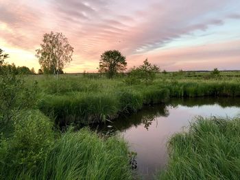 Scenic view of landscape against sky during sunset