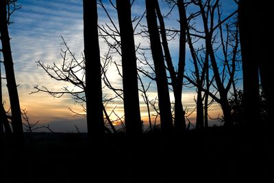 Silhouette trees in forest against sky