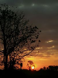 Silhouette bare tree against sunset sky