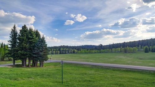 Trees on field against sky