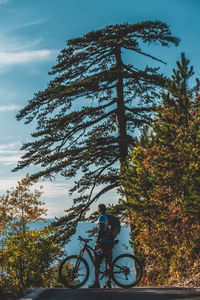 Man riding bicycle on tree against sky