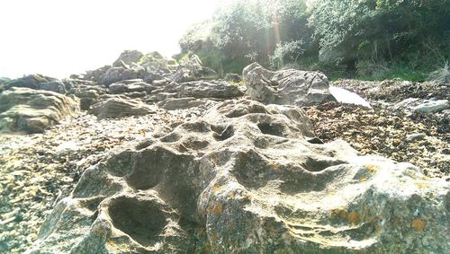 Scenic view of rocks