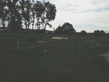 Trees on field against sky