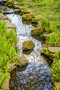 Stream flowing through rocks