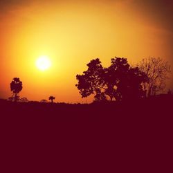 Silhouette of trees at sunset