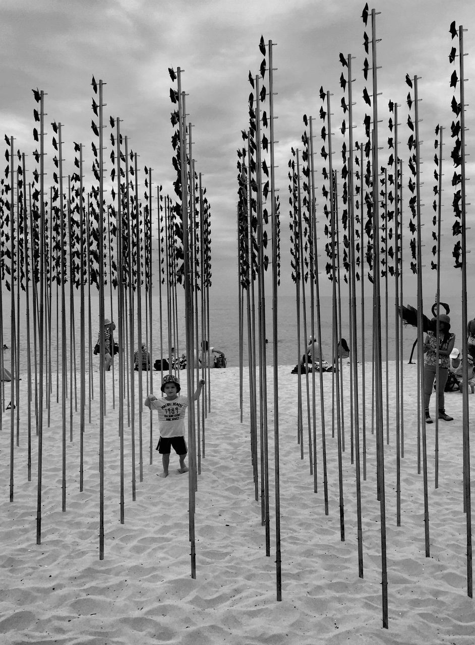 large group of objects, in a row, sky, abundance, arrangement, side by side, group of objects, beach, order, variation, hanging, day, no people, wooden post, outdoors, pole, repetition, sand, fence, wood - material