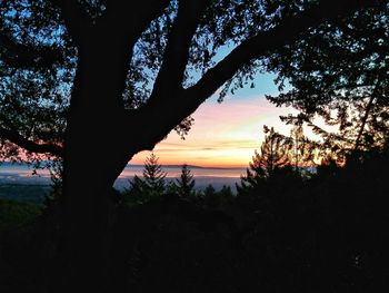 Scenic view of sea against sky at sunset