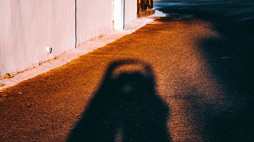 Shadow of person on a road