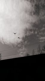 Low angle view of silhouette birds flying in sky