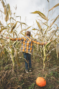 Rear view of man standing on field