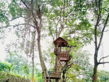 Low angle view of hut on tree against sky