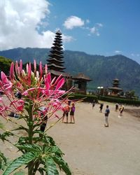 Landscape with mountain range in background