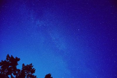 Low angle view of silhouette trees against blue sky at night