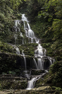 View of waterfall in forest