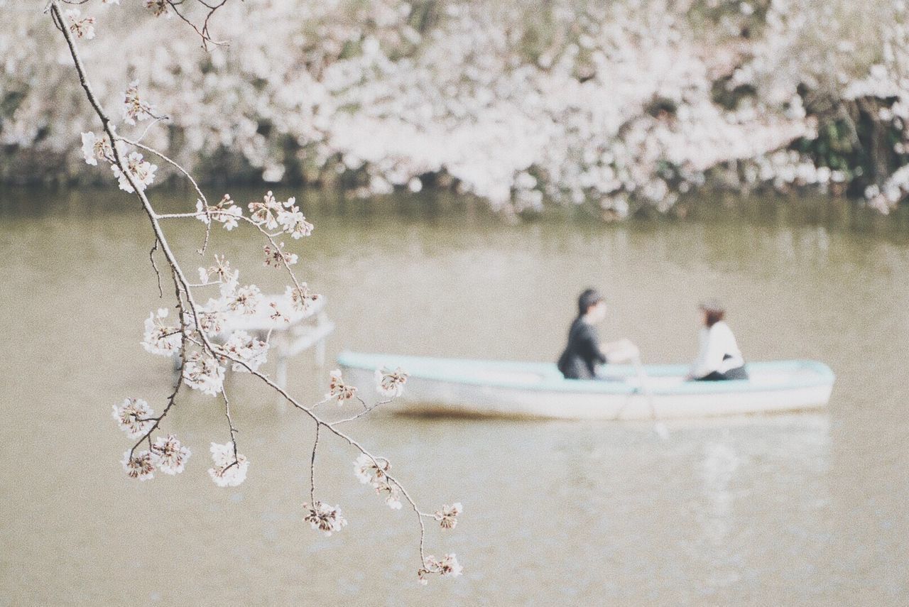 CLOSE-UP OF FLOWERS ON LAKE