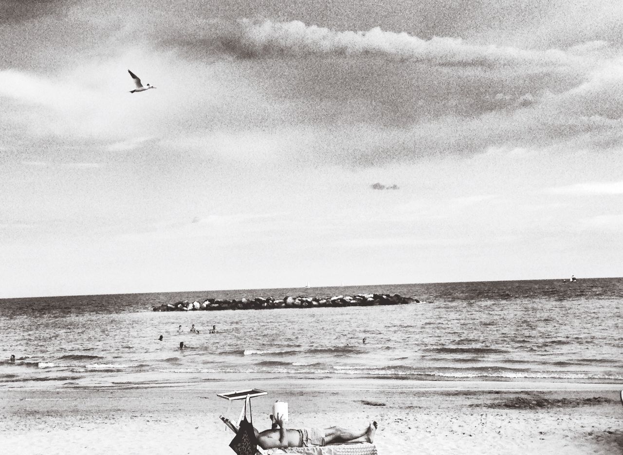 SCENIC VIEW OF SEA AND AIRPLANE