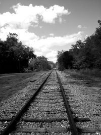 View of railroad tracks along trees