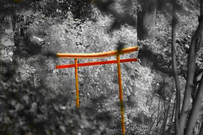 View of bench on footpath