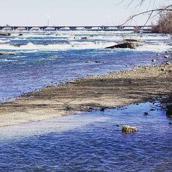 View of birds on beach