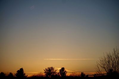 Silhouette of trees at sunset